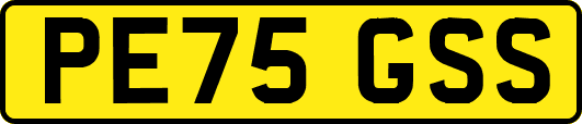 PE75GSS