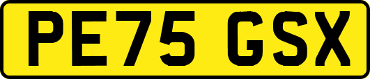 PE75GSX