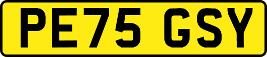 PE75GSY