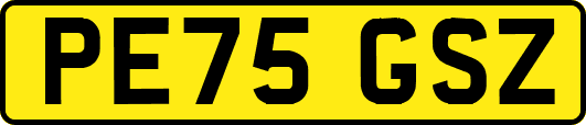 PE75GSZ