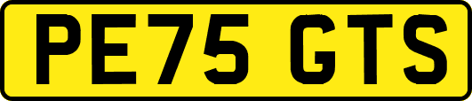 PE75GTS