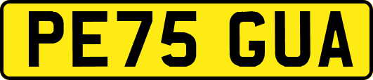 PE75GUA