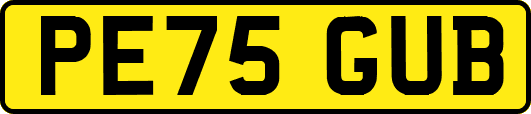 PE75GUB