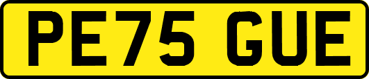 PE75GUE