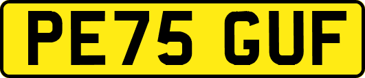 PE75GUF