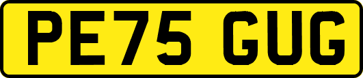 PE75GUG