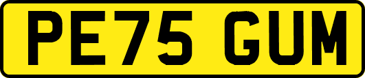 PE75GUM