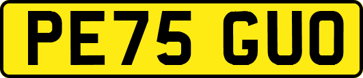 PE75GUO