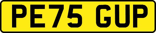 PE75GUP