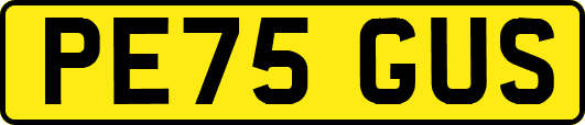 PE75GUS