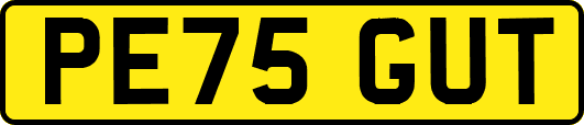 PE75GUT