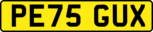 PE75GUX
