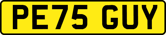PE75GUY