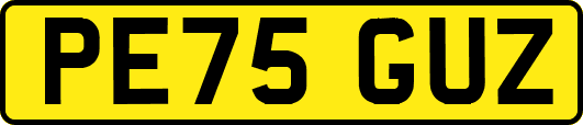 PE75GUZ