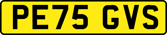 PE75GVS