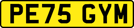 PE75GYM