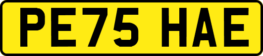 PE75HAE