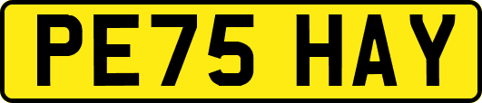 PE75HAY