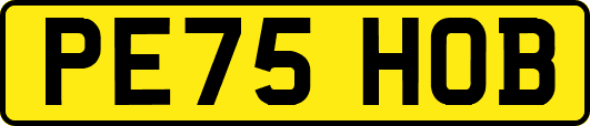 PE75HOB