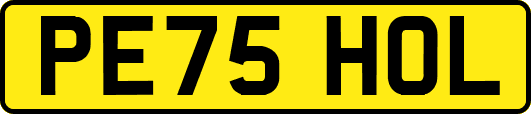 PE75HOL