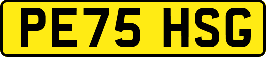 PE75HSG
