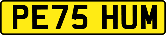 PE75HUM