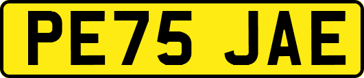 PE75JAE