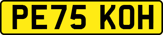 PE75KOH