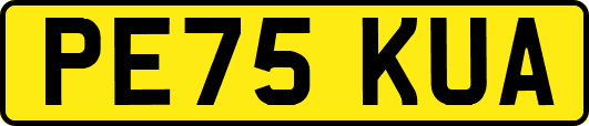 PE75KUA