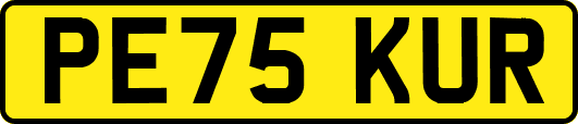 PE75KUR