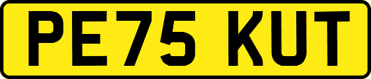PE75KUT