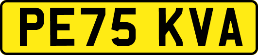 PE75KVA