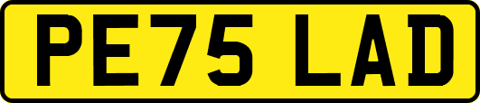 PE75LAD