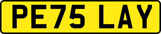 PE75LAY
