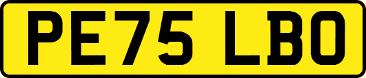 PE75LBO