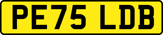 PE75LDB