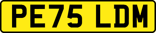PE75LDM