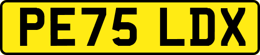 PE75LDX