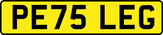 PE75LEG