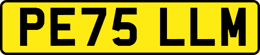 PE75LLM