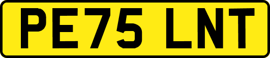 PE75LNT