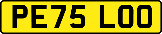 PE75LOO