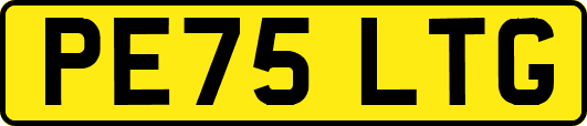 PE75LTG