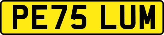 PE75LUM