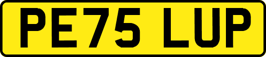 PE75LUP