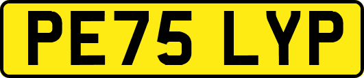 PE75LYP