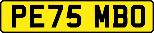 PE75MBO