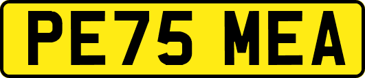 PE75MEA