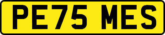 PE75MES