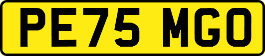 PE75MGO